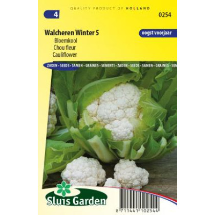 Walcheren Winter karfiol ozimný cca 190 semien